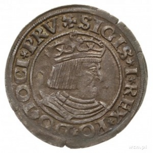 grosz 1530, Gdańsk, pierwszy grosz gdański; PN.13-Dut.1...