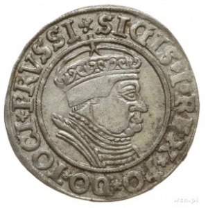 grosz 1535, Toruń, na awersie końcówka napisu ... PRVSS...