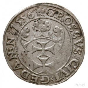 grosz 1556, Gdańsk, mała głowa króla, odmiana napisu PR...