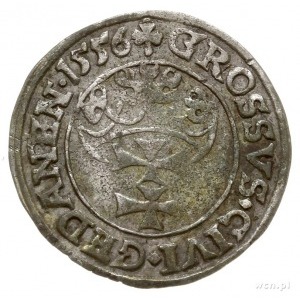 grosz 1556, Gdańsk, mała głowa króla, odmiana napisu PR...