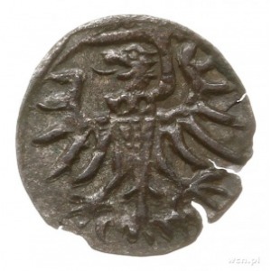 denar 1556, Gdańsk; CNG 81.VIII. Kop. 7352 (R3), Tyszk....