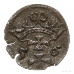 denar 1556, Gdańsk; CNG 81.VIII. Kop. 7352 (R3), Tyszk....