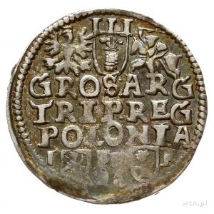 trojak 1596, Poznań; Iger P.96.4.-/a, nienotowana odmia...