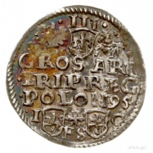trojak 1595, Bydgoszcz, na awersie POLO M D L, odmiana ...