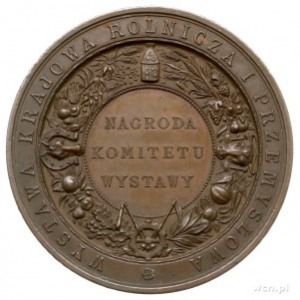 Wystawa Rolnicza i Przemysłowa w Krakowie 1887 r., meda...