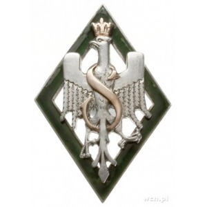 oficerska odznaka pamiątkowa 5 Dywizji Strzelców Sybery...