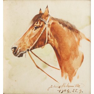 Juliusz Holzmüller (1876 Bolechów – 1932 Lwów), Głowa konia, 1904 r.
