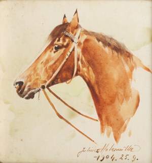 Juliusz Holzmüller (1876 Bolechów – 1932 Lwów), Głowa konia, 1904 r.