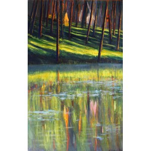 Lukasz Zedlewski, Reflection