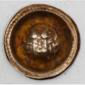 Václav II. (1278-1305). Malý brakteát 19 mm (0,23 g), dříve řazen do Slezska. Cach-nezná