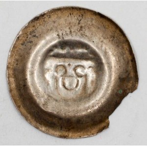 Václav II. (1278-1305). Český brakteát s hlavou panovníka 24 mm (0,35 g). Cach-nezná. vylom okraj