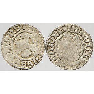 Vladislav II. (1471-1516). Bílý peníz, Paukert-62, s jazykem, bez jazyka, obě varianty