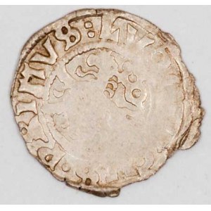 Ludvík I. (1516-26). Bílý peníz, lev s jazykem, chlupy na tlapách a krku. nep. nedor.