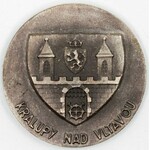 Malíř J. Holub, Kralupy n.V. Bronz + bronz postř. 40 mm
