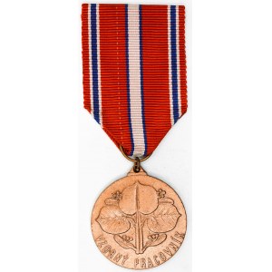 Medaile Ministerstva školství ČSR - Vzorný pracovník. Měď 35 mm, stuha