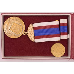 Medaile Zasloužilý příslušník sboru požární ochrany. Jednostr. bronz 35 mm, stuha, stužka, miniatura...