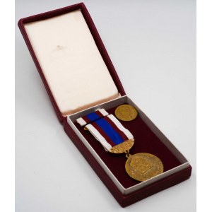 Medaile Zasloužilý příslušník sboru požární ochrany. Jednostr. bronz 35 mm, stuha, stužka, miniatura...
