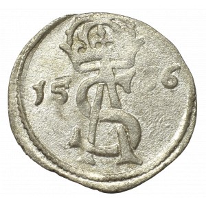 Sigismund II Augustus, 2 denarii 1566, Vilnius