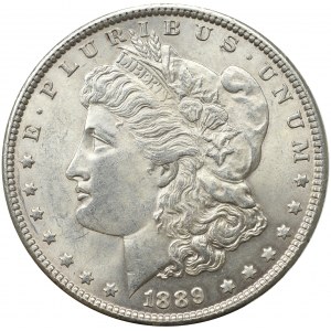 USA, Morgan Dollar 1889