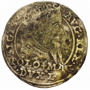 Sigismund II Augustus, Groschen 1567, Tiktin