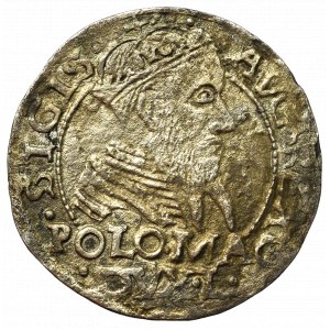 Zygmunt II August, Grosz na stopę polską 1566 - L/LI