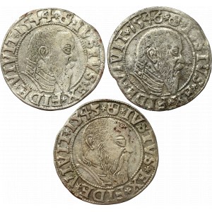 Germany, Preussen, Lot of groschen 1544-46