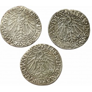 Germany, Preussen, Lot of groschen 1544-46
