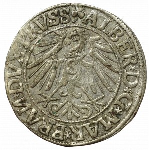 Prusy Książęce, Albrecht Hohenzollern, Grosz 1544, Królewiec - szeroka broda odwrócone N w BRAN