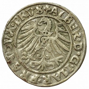 Prusy Książęce, Albreht Hohenzollern, Grosz 1546, Królewiec - mała data