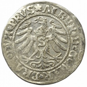 Prusy Książęce, Albrecht Hohenzollern, Grosz 1531, Królewiec