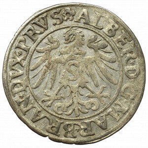 Prusy Książęce, Albrecht Hohenzollern, Grosz 1533, Królewiec