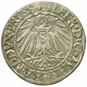 Germany, Preussen, Albrecht Hohenzollern, Groschen 1539, Konigsberg