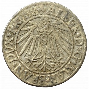 Germany, Preussen, Albrecht Hohenzollern, Groschen 1541, Konigsberg