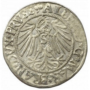 Germany, Preussen, Albrecht Hohenzollern, Groschen 1542, Konigsberg