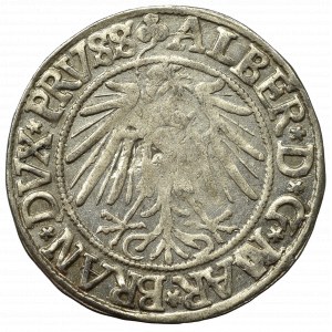 Germany, Preussen, Albrecht Hohenzollern, Groschen 1542, Konigsberg