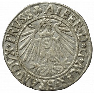 Germany, Preussen, Albrecht Hohenzollern, Groschen 1542, Konigsberg