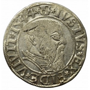 Prusy Książęce, Albrecht Hohenzollern, Grosz 1544, Królewiec - szeroka broda