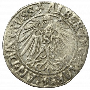 Prusy Książęce, Albrecht Hohenzollern, Grosz 1544, Królewiec - szeroka broda