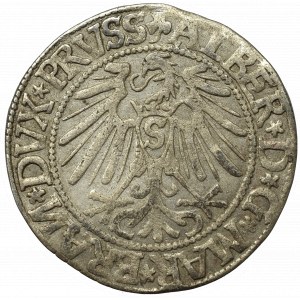 Germany, Preussen, Albrecht Hohenzollern, Groschen 1544, Konigsberg