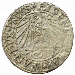 Prusy Książęce, Albreht Hohenzollern, Grosz 1546, Królewiec - duża data