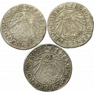 Germany, Preussen, Lot of groschen 1538-42