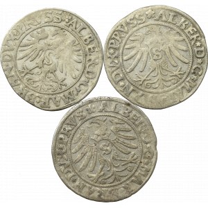 Germany, Preussen, Lot of groschen 1531-35