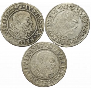 Prusy Książęce, Zestaw groszy 1531-37
