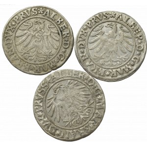 Germany, Preussen, Lot of groschen 1531-37