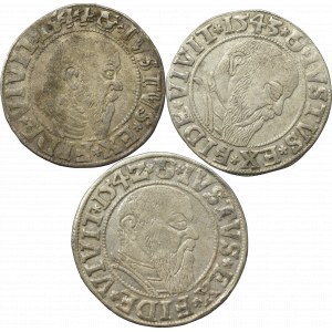 Germany, Preussen, Lot of groschen 1542-44