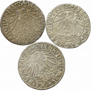 Prusy Książęce, Zestaw groszy 1542-44