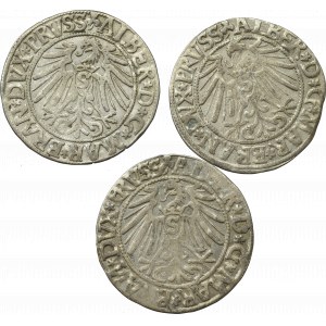 Germany, Preussen, Lot of groschen 1543-45