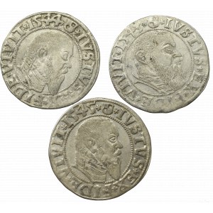 Germany, Preussen, Lot of groschen 1543-45