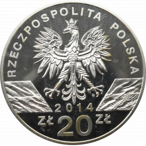 III RP, 20 złotych 2014 Konik Polski