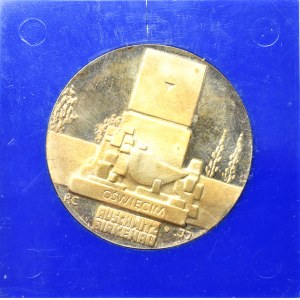 Volksrepublik Polen, Medaille Johannes Paul II - Silber